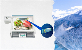 Холодильники Hitachi с вакуумным отделением