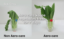 Hitachi Refrigerator Aero care Vege Compartment